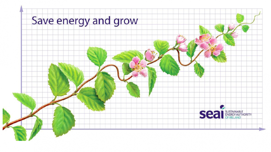 SEAI is helping SMEs cut costs and grow Image