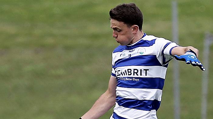 WEEKEND ROUND-UP: Castlehaven sole top grade representative from West Cork Image