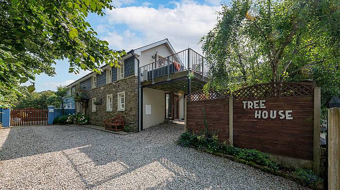 House of the Week: Courtmacsherry three-bed ‘Tree House’ for €405,000 Image