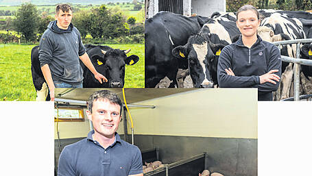 PROFILED: Future looks bright with calibre of West Cork Young Farmer of the Year nominees Image