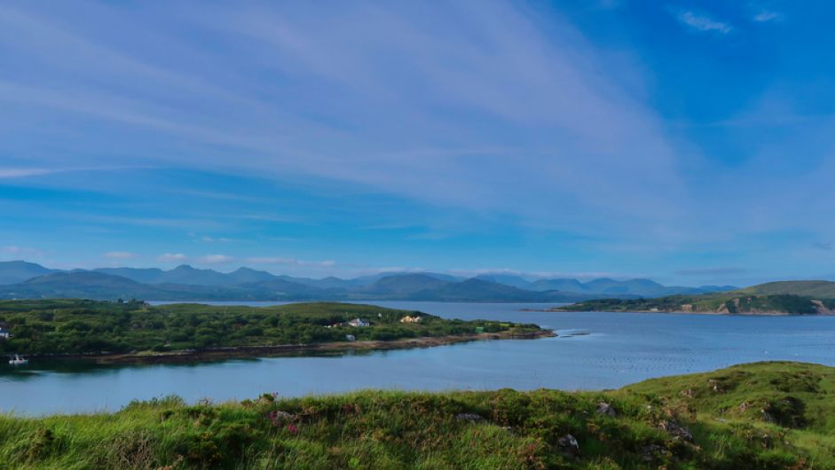 Independent probe is sought into deaths of Bantry salmon Image