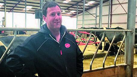 Milking with a Lely Astronaut in West Cork Image