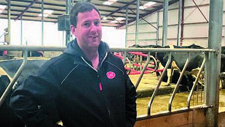 Milking with a Lely Astronaut in West Cork Image