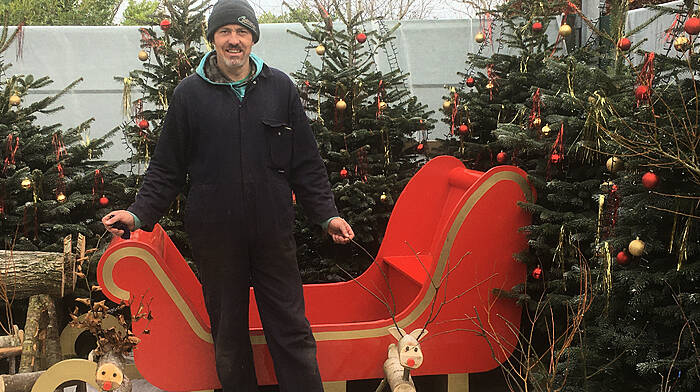 Garden centre has new Santa’s grotto Image