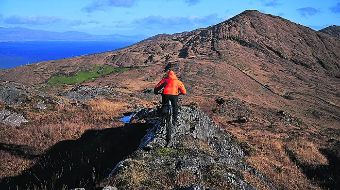 New designs on West Cork Image