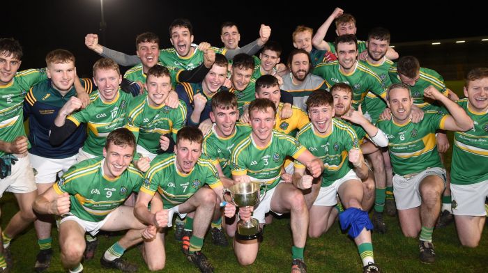 Randal Óg through to Munster junior B football semi-final Image