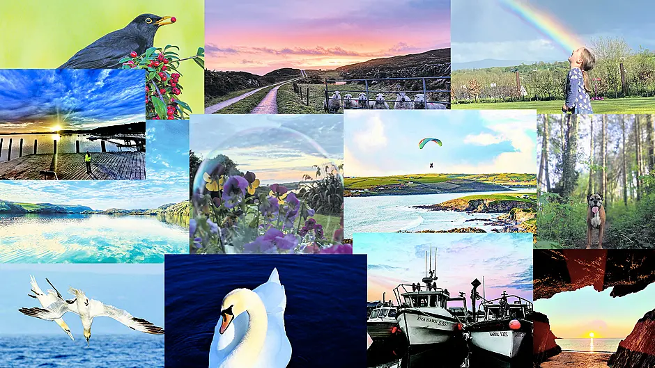 GALLERY: Help us choose the overall Reader’s Picture for 2021 Image