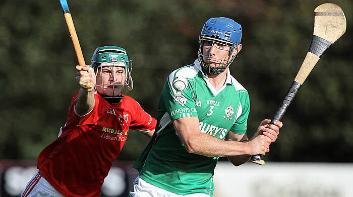 Champions Ballinascarthy dominate Carbery junior hurling team of the season Image