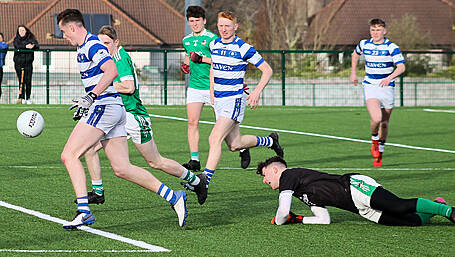 Castlehaven keep the Wolfe from the title Image