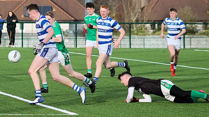 Castlehaven keep the Wolfe from the title Image