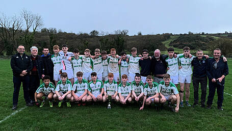 Sam Maguires celebrates two superb football wins Image