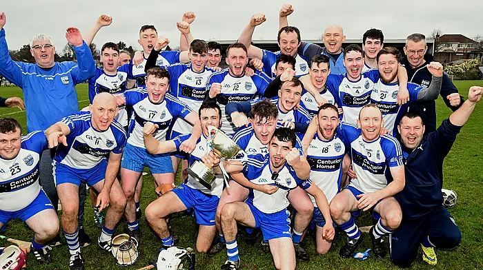 Dwyer stars as Belgooly hurlers dash Randal Óg’s double dream Image