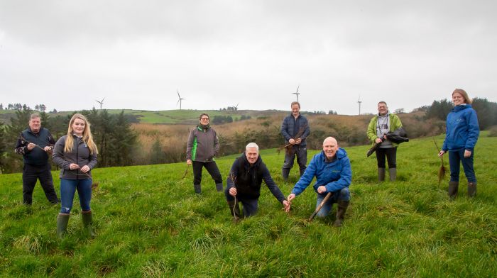 Carbery’s 1,200 suppliers are gifted 50 trees to help offset carbon emissions Image