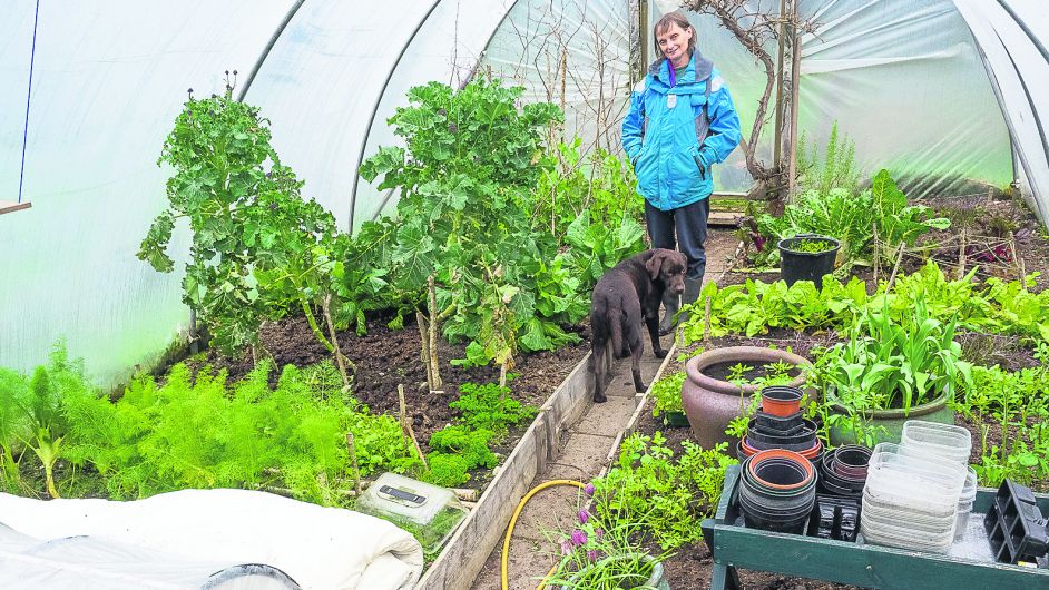 GARDENING: Protect seeds from snails and slugs Image