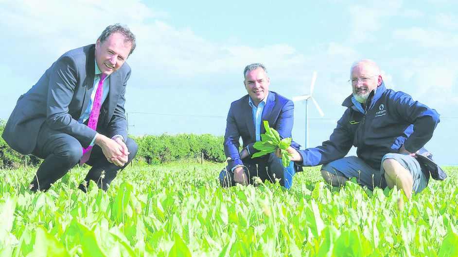 Plenty of chances for farmers to embrace the eco-friendly options Image