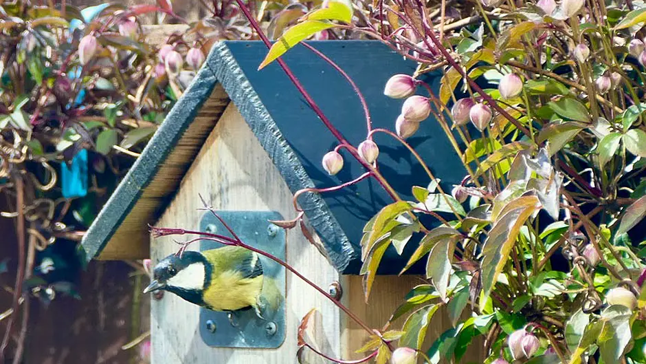 READER’S PICTURE OF THE WEEK Image