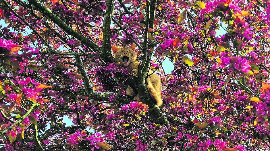Reader’s Picture of the Week Image Reader’s Picture of the Week Image