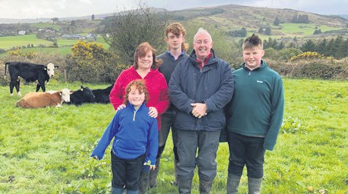 TEAGASC: Creedon’s Clondrohid farm is a real family enterprise Image