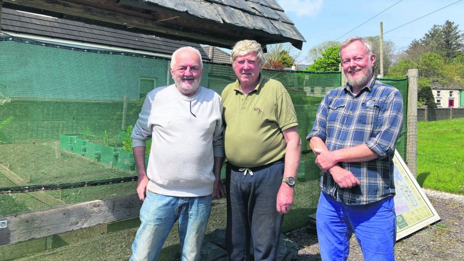 Durrus men preparing special wall to remember old friends Image