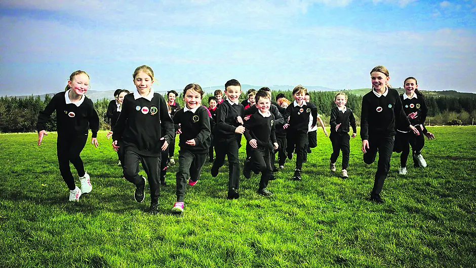 Healthy Heroes at Togher school Image