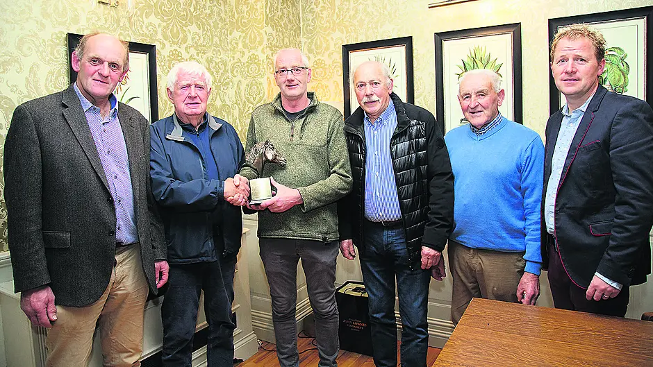 Dillons’s horse breeding success is right ‘on point’ Image