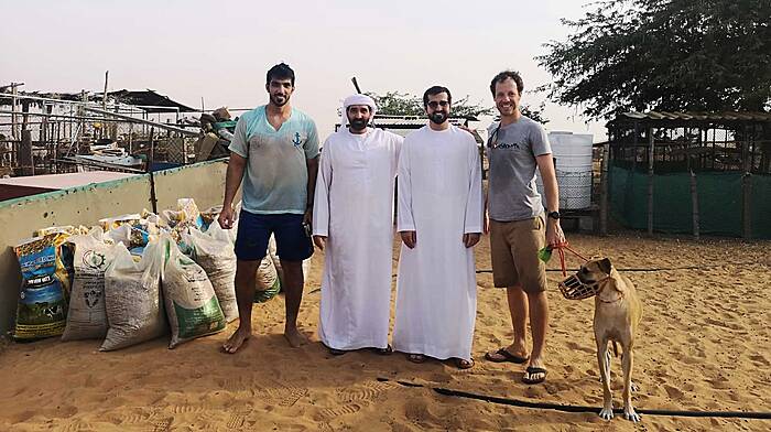 Kinsale man gets offered a goat for rescuing a camel! Image