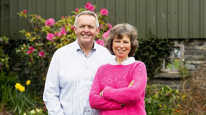 Food, fads and faith: all the flavours in Glenilen Farm’s super success story Image