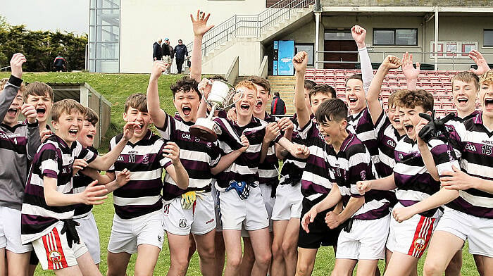 Herlihy Cup shines light on bright future for West Cork football Image