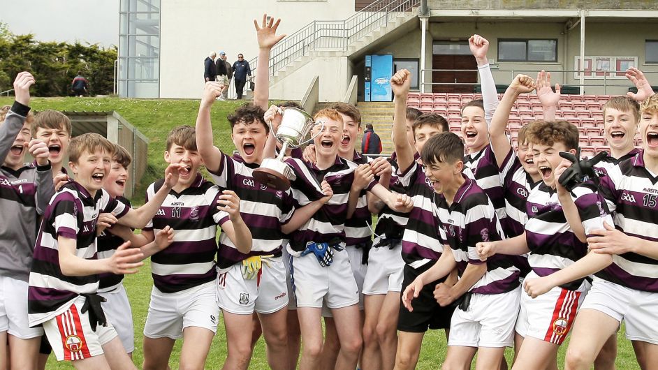 Herlihy Cup shines light on bright future for West Cork football Image