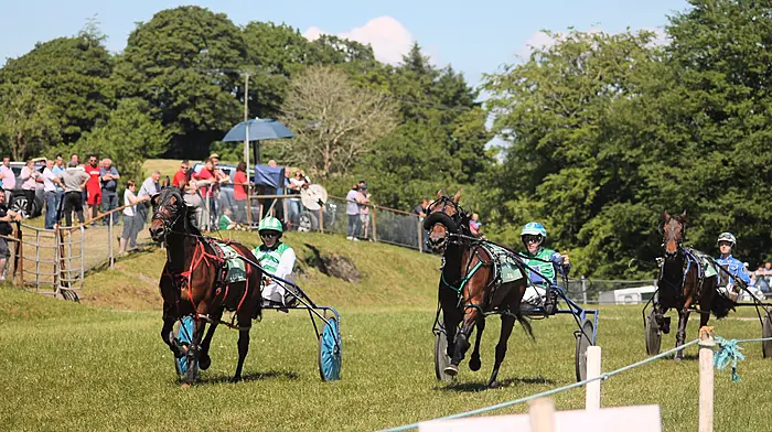Showtime Notorious races to impressive win in Dunmanway Image