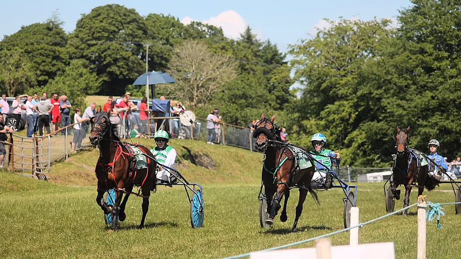 Showtime Notorious races to impressive win in Dunmanway Image