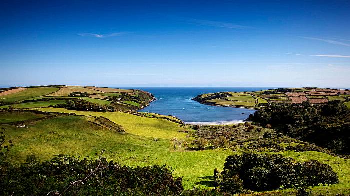 The Glandore farmer’s son who made a big impact on our history Image