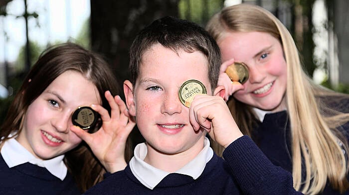 Top debating title for Ardfield National School Image