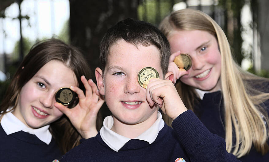 Top debating title for Ardfield National School Image