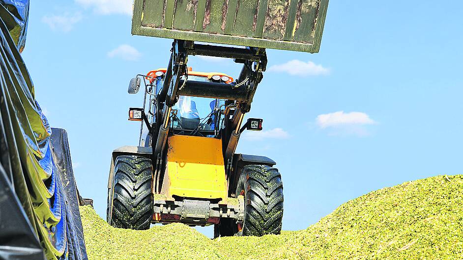 WOMAN ON THE VERGE: Silage season: how’s she cutting? Image