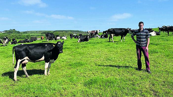 TEAGASC: Peadar says good farm roads will aid farm management Image