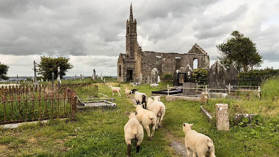 Caring ‘Crosser’ and kind Kinsale raise for charity Image