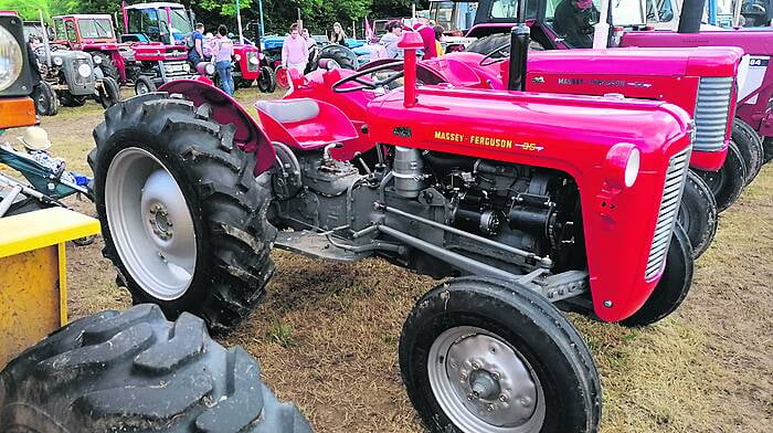 Massey Ferguson 35 had big boots to fill Image