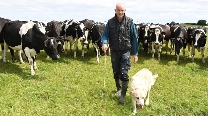 Farmer Harold’s Covid warning to colleagues Image