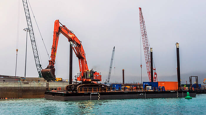 No bite for harbourmaster job Image