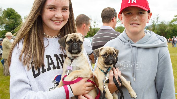 Enjoying Dunmanway Show are Mia & Taylor White, Dunmanway with Mini & Diesel. Photo: George Maguire
