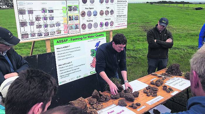 Teagasc: Help your soil and it will help you by boosting production Image