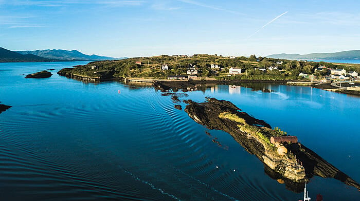 Six things to do in West Cork this weekend Image