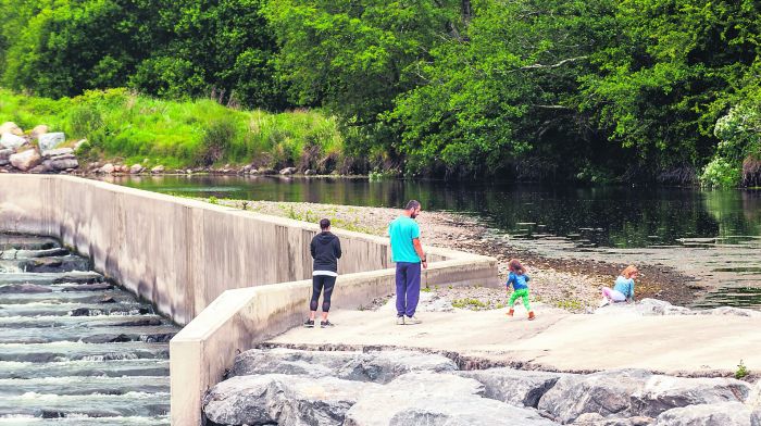 Bandon river walkway is ‘not looking the business’ Image