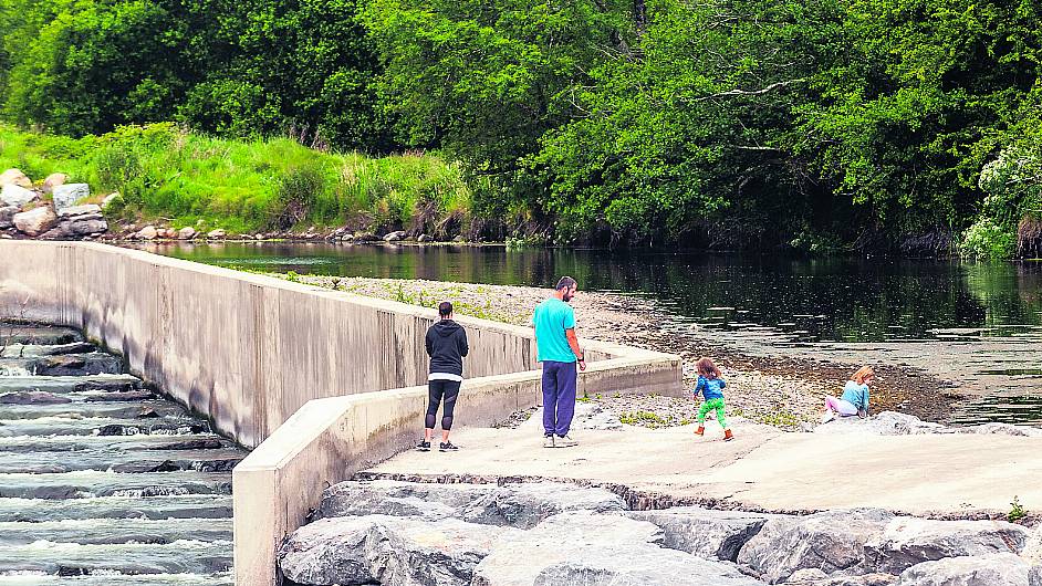 Bandon river walkway is ‘not looking the business’ Image