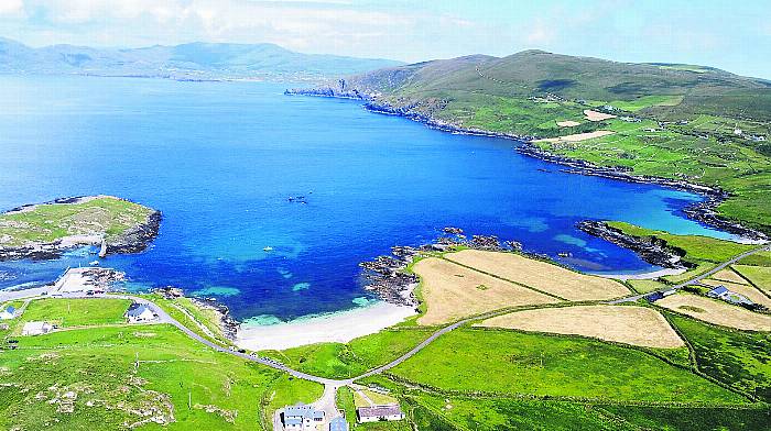 Garnish Bay’s mackerel industry to be remembered this weekend Image