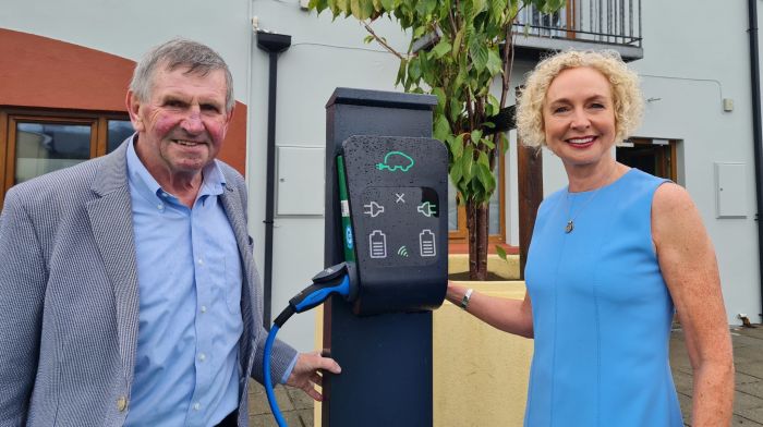 WATCH: Skibb goes electric with new charging points Image