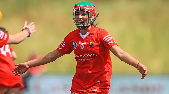 McCarthy and Buckley play their role in Cork All-Ireland win Image