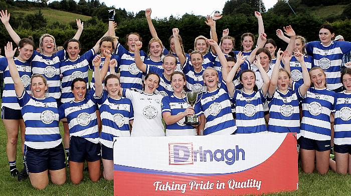 Castlehaven heroes make history with famous win Image