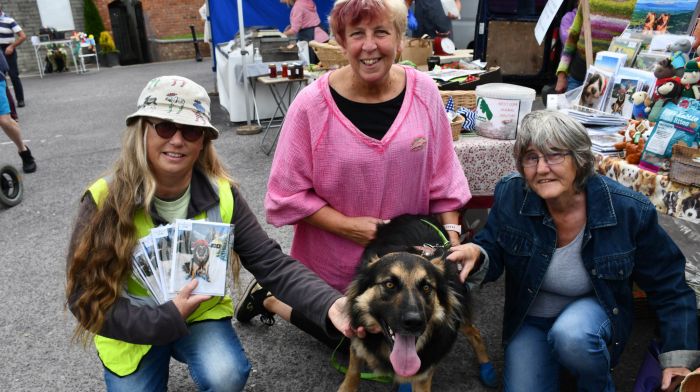 ‘Miracle’ dog Seamus makes guest appearance at market Image